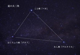 DSC_3597-夏の大三角